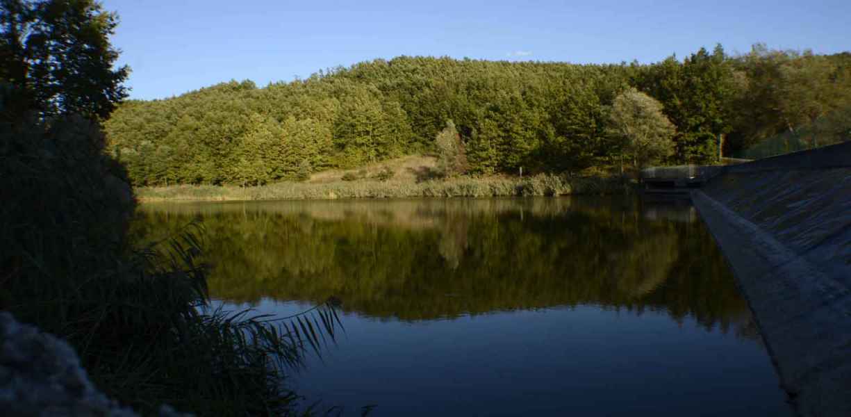 Laghetto Lupardi, bosco riflesso nelle acque del lago